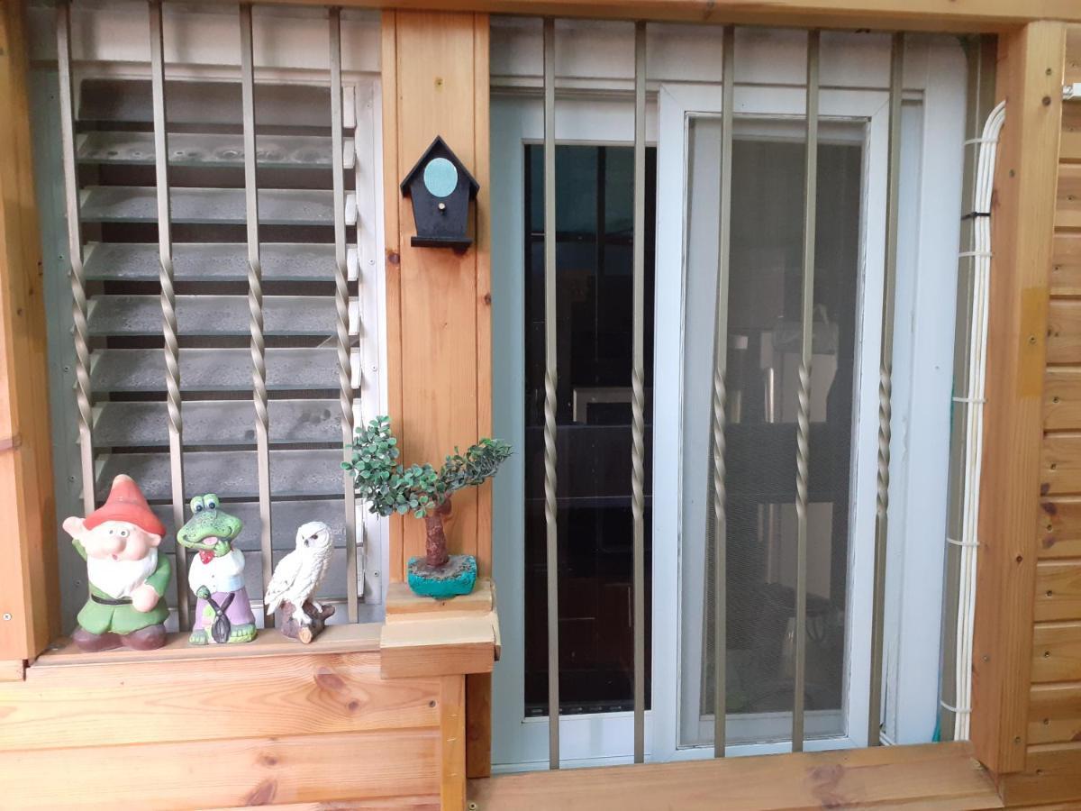 Amazing Garden Apartment In Χάιφα Εξωτερικό φωτογραφία